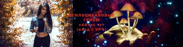 прущие крисы Мегион
