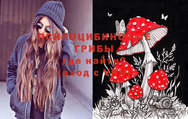 мескалин Вяземский