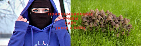 хмурый Майский
