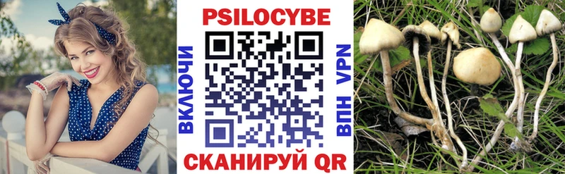 Галлюциногенные грибы прущие грибы  гидра вход  Медногорск  как найти закладки 