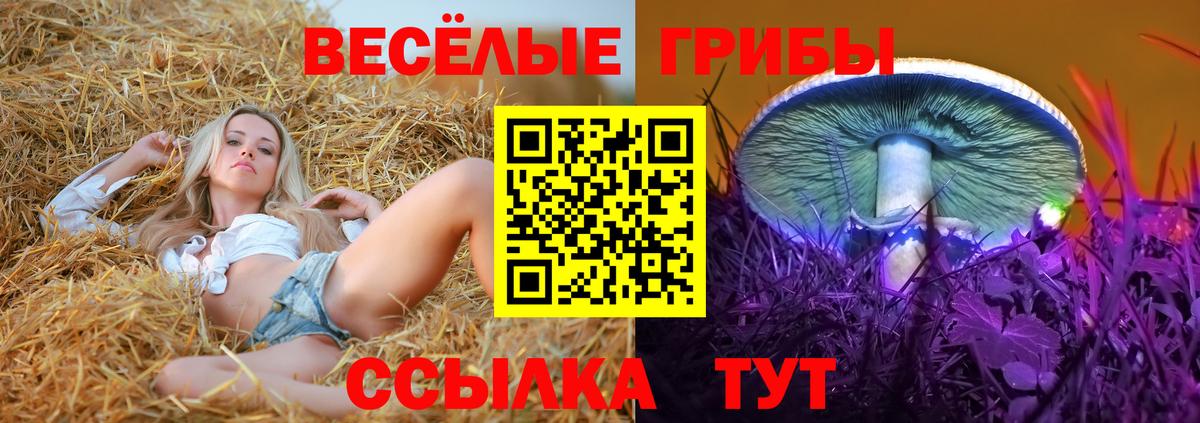 Галлюциногенные грибы мицелий Медногорск
