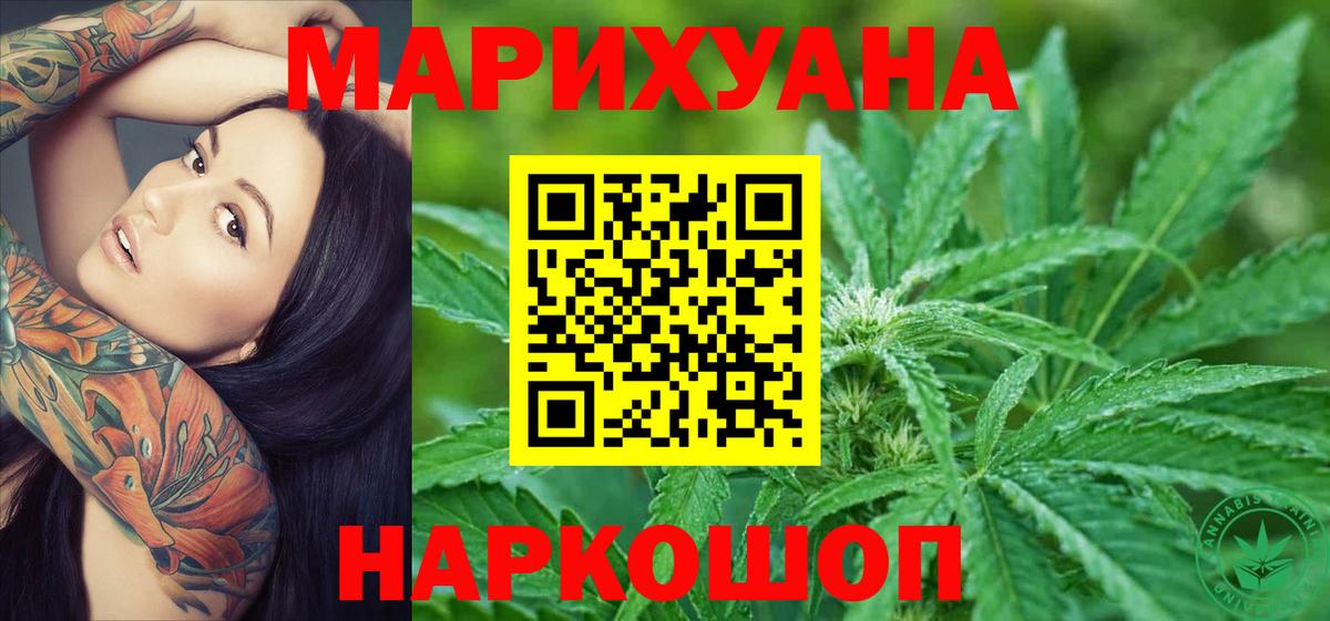 Каннабис сатива Медногорск